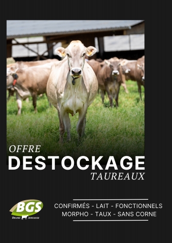 Offre de destockage 2025