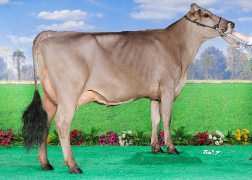 SCHIAPPA (Opinel) Sacrée MISS BGS 2025
