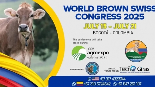 Congrès Mondial Brown Swiss en Colombie !