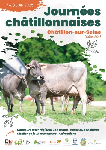 Journées Châtillonnaises 2025, découvrez les lots à la vente