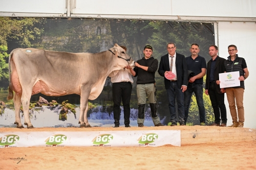 Nouveau succès pour les Journées Châtillonnaises