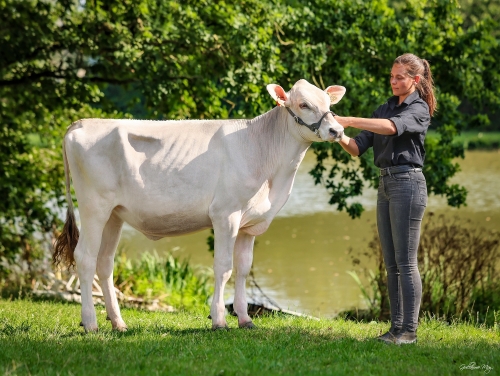 Vente Genomic Elite SPACE 2025 : une génisse polled et la famille PACTOLE au rendez-vous !