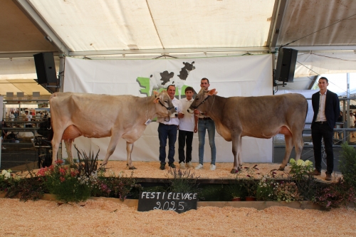 REINETTE grande championne du Festi’élevage de Chemillé 2025 !