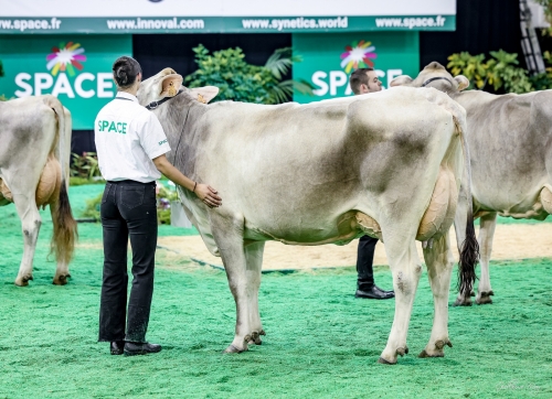 SUSETTE sacrée grande championne au SPACE !