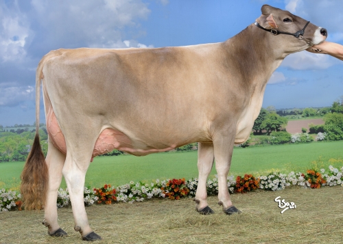 Les nouveaux index taureaux sont sortis