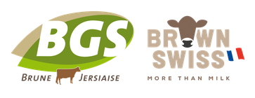 Brune Génétique